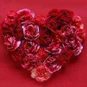 ヒメ日記 2025/10/29 05:45 投稿 こゆき 待ちナビ