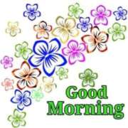 ヒメ日記 2025/11/11 07:15 投稿 こゆき 待ちナビ