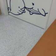 ヒメ日記 2025/11/12 10:38 投稿 こゆき 待ちナビ