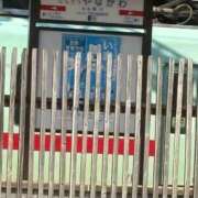 ヒメ日記 2025/11/15 09:25 投稿 こゆき 待ちナビ