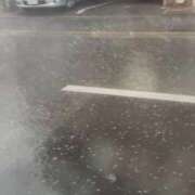 ヒメ日記 2025/11/25 11:40 投稿 こゆき 待ちナビ