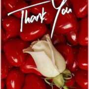 ヒメ日記 2025/12/01 02:05 投稿 こゆき 待ちナビ