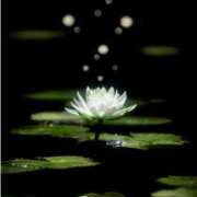 ヒメ日記 2025/12/08 20:50 投稿 こゆき 待ちナビ