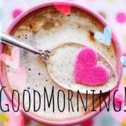 ヒメ日記 2025/12/18 06:25 投稿 こゆき 待ちナビ