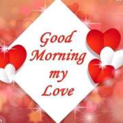 ヒメ日記 2025/12/22 06:45 投稿 こゆき 待ちナビ