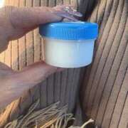 ヒメ日記 2026/02/03 11:05 投稿 こゆき 待ちナビ