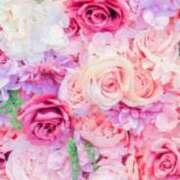 ヒメ日記 2026/02/16 16:41 投稿 こゆき 待ちナビ