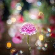 ヒメ日記 2026/02/23 17:15 投稿 こゆき 待ちナビ