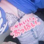 ヒメ日記 2025/10/22 13:22 投稿 ことり アクアマリン