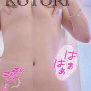 ヒメ日記 2025/10/24 14:28 投稿 ことり アクアマリン