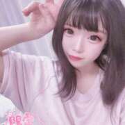 ヒメ日記 2025/12/11 14:46 投稿 ことり アクアマリン