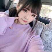 ヒメ日記 2025/12/11 15:49 投稿 ことり アクアマリン