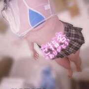 ヒメ日記 2025/12/12 16:15 投稿 ことり アクアマリン