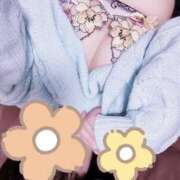 ヒメ日記 2025/12/25 03:54 投稿 ことり アクアマリン