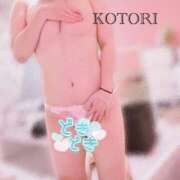 ヒメ日記 2025/12/25 13:44 投稿 ことり アクアマリン