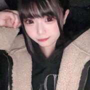 ヒメ日記 2025/12/26 14:58 投稿 ことり アクアマリン