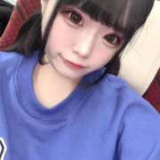 ヒメ日記 2025/12/26 17:31 投稿 ことり アクアマリン