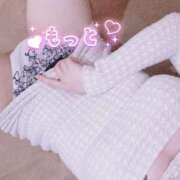 ヒメ日記 2025/12/28 14:56 投稿 ことり アクアマリン