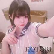 ヒメ日記 2025/12/31 11:46 投稿 ことり アクアマリン