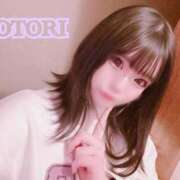 ヒメ日記 2026/01/01 09:38 投稿 ことり アクアマリン