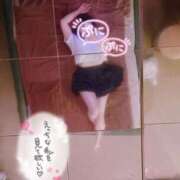 ヒメ日記 2026/01/04 15:29 投稿 ことり アクアマリン