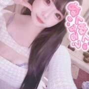 ヒメ日記 2026/01/07 15:26 投稿 ことり アクアマリン