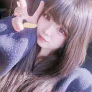 ヒメ日記 2026/02/06 13:38 投稿 ことり アクアマリン