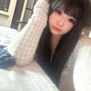 ヒメ日記 2026/02/09 17:23 投稿 ことり アクアマリン