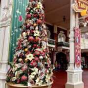 ヒメ日記 2025/12/18 12:49 投稿 波風なぎさ 五反田マーマレード(ユメオト)