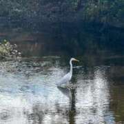 ヒメ日記 2025/12/11 16:11 投稿 ゆな◆敏感どM美女！ 即イキ淫乱倶楽部 高崎店