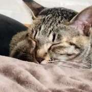 ヒメ日記 2025/11/21 08:25 投稿 つむぎ 福岡飯塚田川ちゃんこ