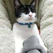 ヒメ日記 2025/12/18 23:15 投稿 つむぎ 福岡飯塚田川ちゃんこ