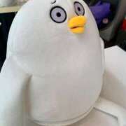 ありす ※写真とは関係ありません アラビアンナイト