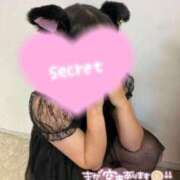 ヒメ日記 2025/10/29 19:33 投稿 あお 川越ぷよステーション