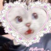 ヒメ日記 2025/11/04 19:23 投稿 あお 川越ぷよステーション