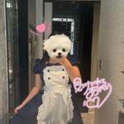 ヒメ日記 2025/11/28 22:53 投稿 あお 川越ぷよステーション