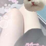 ヒメ日記 2025/11/03 15:23 投稿 あお ぷよステーション大宮店