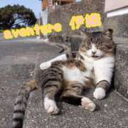 ヒメ日記 2025/12/15 14:01 投稿 伊織（イオリ） アバンチュール(五反田)