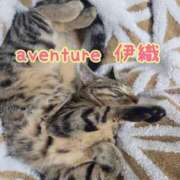 ヒメ日記 2026/01/05 10:01 投稿 伊織（イオリ） アバンチュール(五反田)