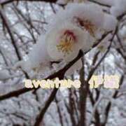 ヒメ日記 2026/02/08 08:46 投稿 伊織（イオリ） アバンチュール(五反田)