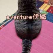 ヒメ日記 2026/02/22 07:16 投稿 伊織（イオリ） アバンチュール(五反田)