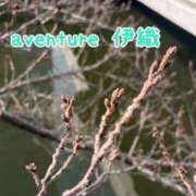 ヒメ日記 2026/02/22 09:46 投稿 伊織（イオリ） アバンチュール(五反田)