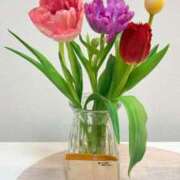 ヒメ日記 2026/02/24 11:16 投稿 伊織（イオリ） アバンチュール(五反田)