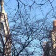 ヒメ日記 2026/03/06 07:31 投稿 伊織（イオリ） アバンチュール(五反田)