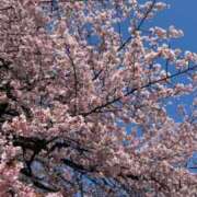 ヒメ日記 2026/03/13 17:16 投稿 伊織（イオリ） アバンチュール(五反田)