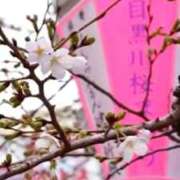 ヒメ日記 2026/03/25 11:01 投稿 伊織（イオリ） アバンチュール(五反田)