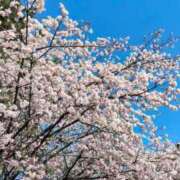 ヒメ日記 2026/03/27 14:01 投稿 伊織（イオリ） アバンチュール(五反田)