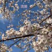 ヒメ日記 2026/03/29 16:16 投稿 伊織（イオリ） アバンチュール(五反田)