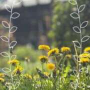 ヒメ日記 2026/04/08 13:46 投稿 伊織（イオリ） アバンチュール(五反田)