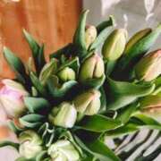 ヒメ日記 2026/04/09 11:16 投稿 伊織（イオリ） アバンチュール(五反田)